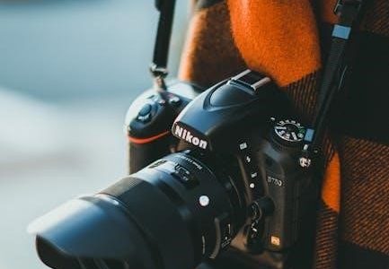 nikon d3500 manual