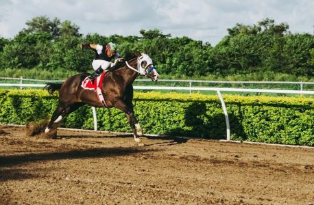 horse race game rules pdf