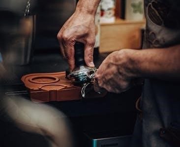 de’longhi coffee machine manual pdf