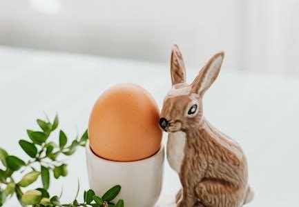 chefman egg cooker instructions