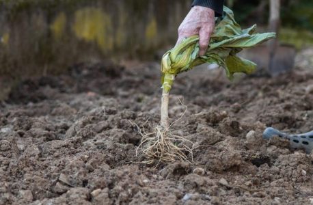 veeder-root manual en español